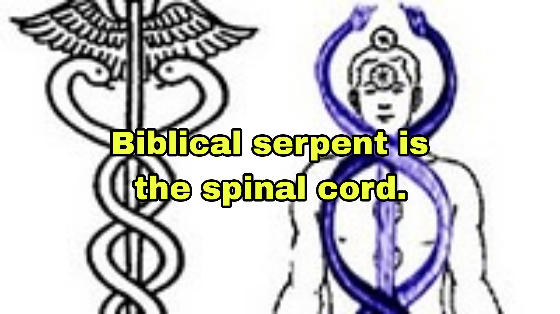 What does the serpent represent in the Bible?